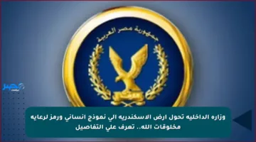 وزارة الداخلية تحول أرض الإسكندرية إلى نموذج إنساني ورمز لرعاية مخلوقات الله.. تعرف على التفاصيل
